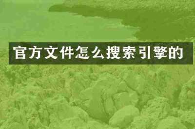 官方文件怎么搜索引擎的