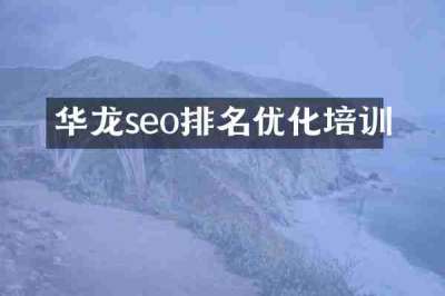 华龙seo排名优化培训