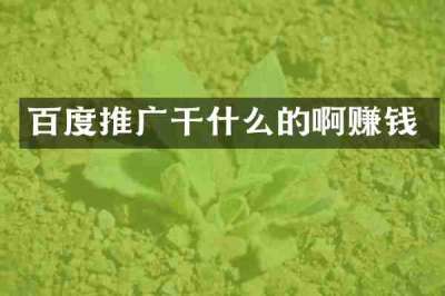 百度推广干什么的啊赚钱