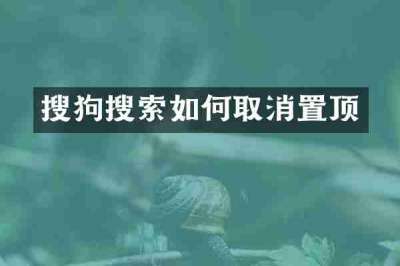 搜狗搜索如何取消置顶
