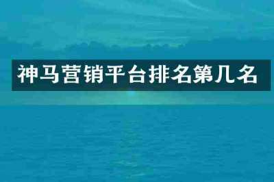 神马营销平台排名第几名