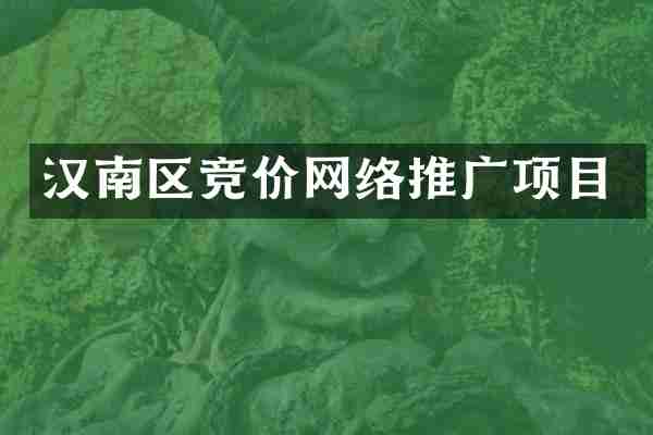 汉南区竞价网络推广项目