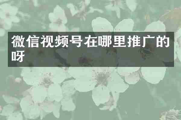 微信视频号在哪里推广的呀