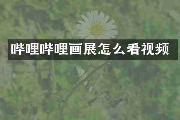哔哩哔哩画展怎么看视频