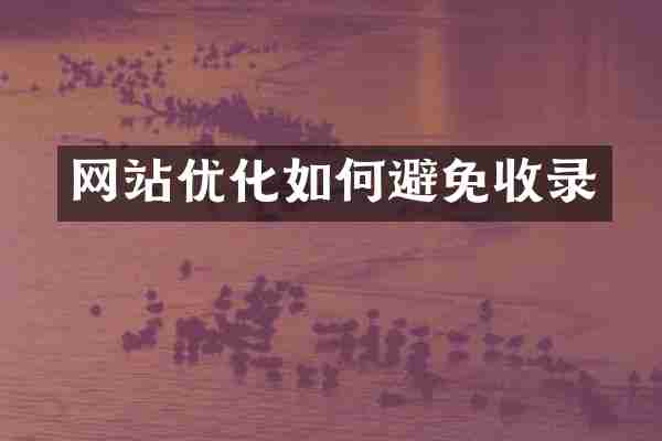 网站优化如何避免收录