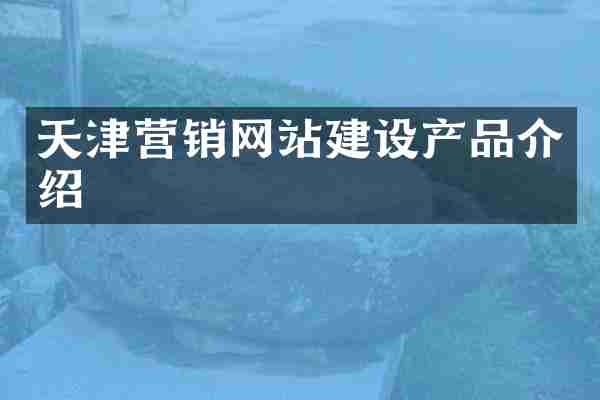天津营销网站建设产品介绍