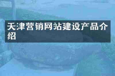 天津营销网站建设产品介绍
