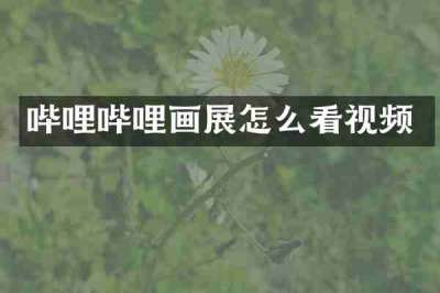 哔哩哔哩画展怎么看视频