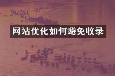 网站优化如何避免收录