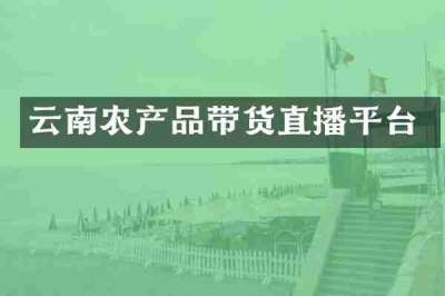 云南农产品带货直播平台