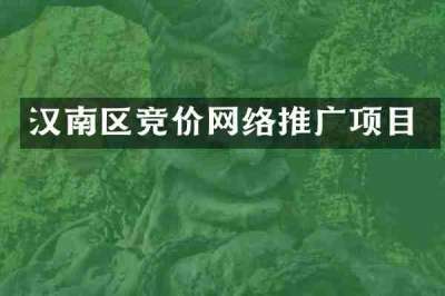 汉南区竞价网络推广项目