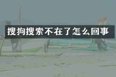 搜狗搜索不在了怎么回事