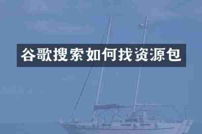 谷歌搜索如何找资源包