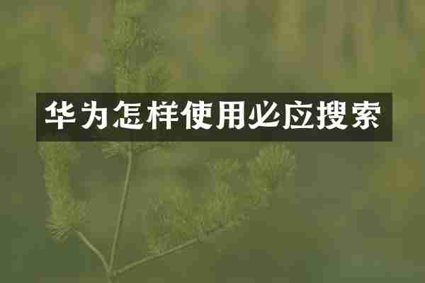 华为怎样使用必应搜索
