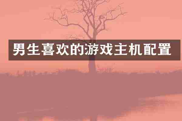 男生喜欢的游戏主机配置