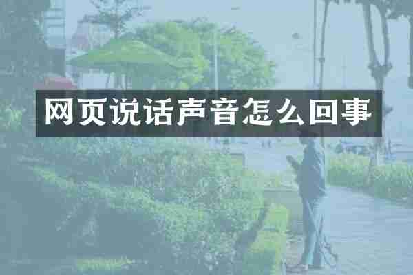 网页说话声音怎么回事