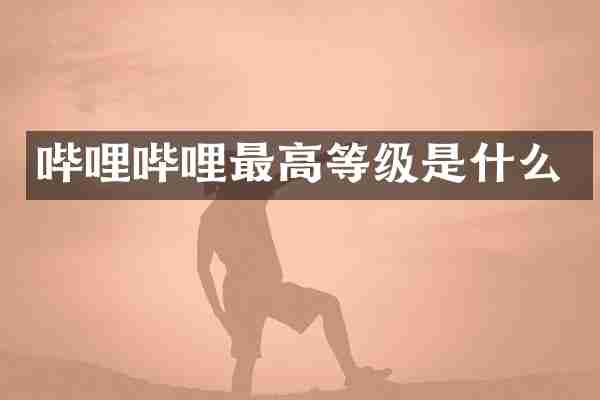 哔哩哔哩最高等级是什么
