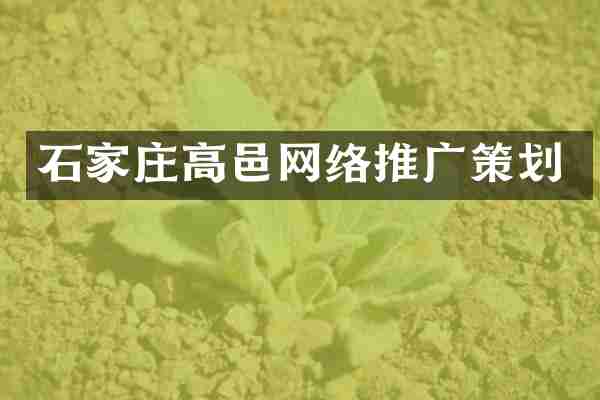 石家庄高邑网络推广策划