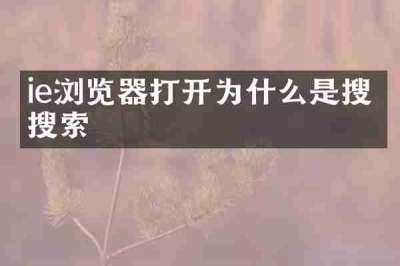 ie浏览器打开为什么是搜狗搜索