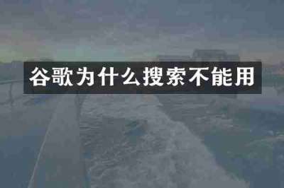 谷歌为什么搜索不能用