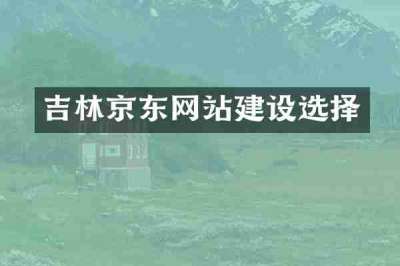 吉林京东网站建设选择