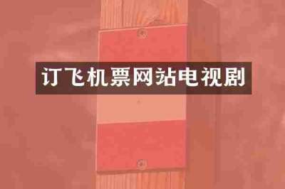 订飞机票网站电视剧
