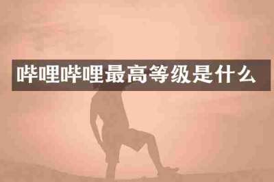 哔哩哔哩最高等级是什么