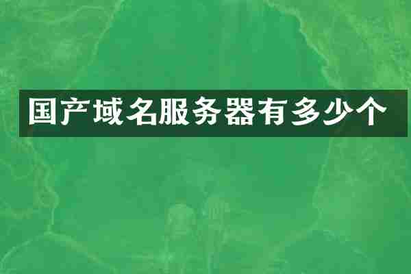 国产域名服务器有多少个