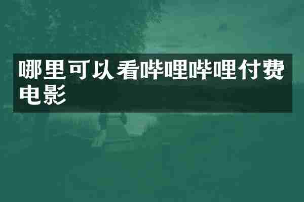 哪里可以看哔哩哔哩付费电影