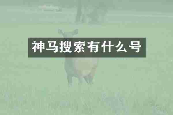 神马搜索有什么号