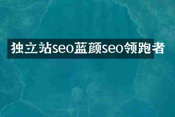 独立站seo蓝颜seo领跑者