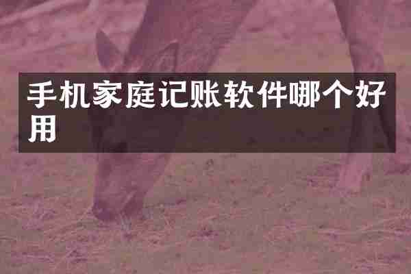 手机家庭记账软件哪个好用
