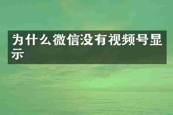为什么微信没有视频号显示