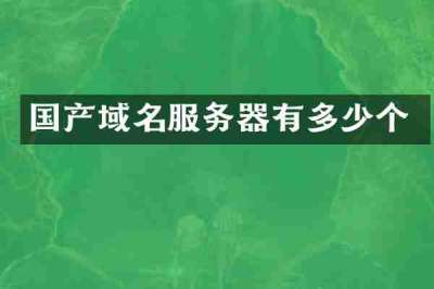 国产域名服务器有多少个