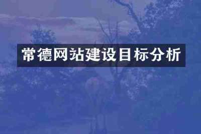 常德网站建设目标分析