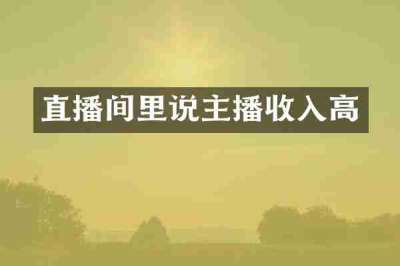 直播间里说主播收入高