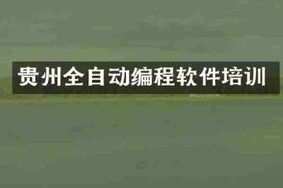 贵州全自动编程软件培训