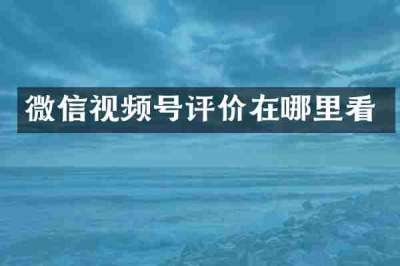 微信视频号评价在哪里看