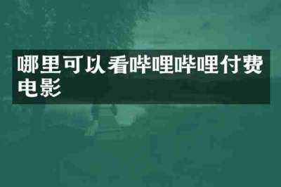 哪里可以看哔哩哔哩付费电影
