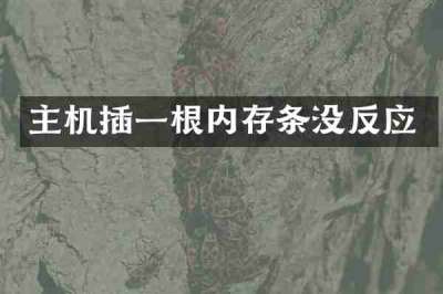 主机插一根内存条没反应