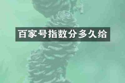 百家号指数分多久给