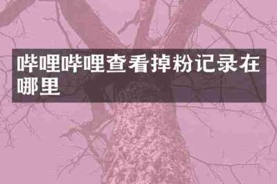 哔哩哔哩查看掉粉记录在哪里