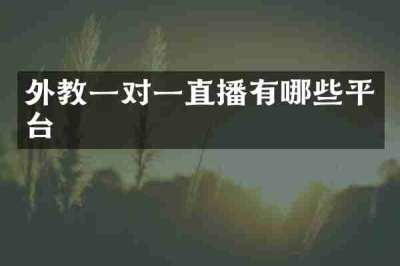外教一对一直播有哪些平台