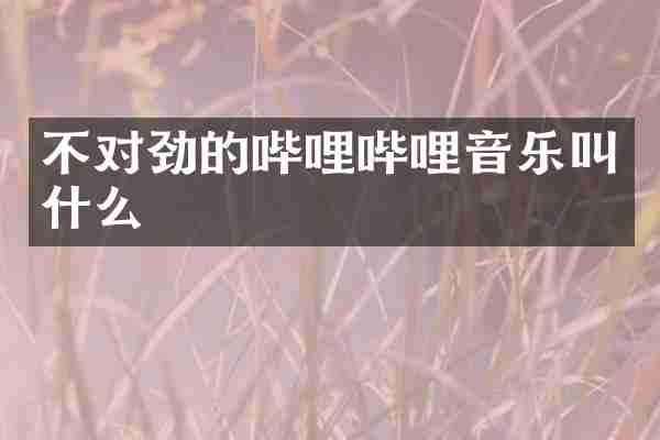 不对劲的哔哩哔哩音乐叫什么