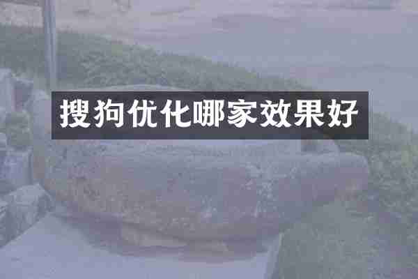 搜狗优化哪家效果好