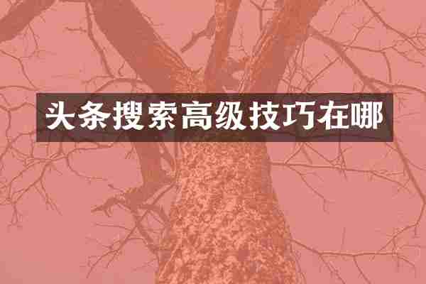 头条搜索高级技巧在哪