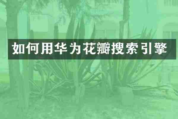 如何用华为花瓣搜索引擎