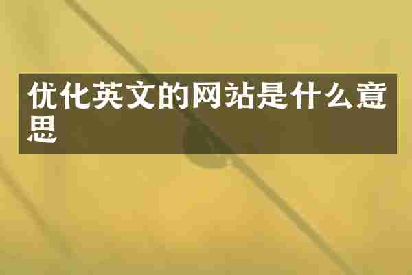 优化英文的网站是什么意思
