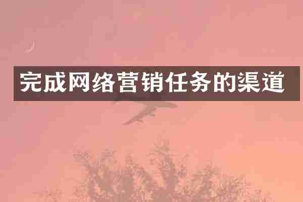 完成网络营销任务的渠道