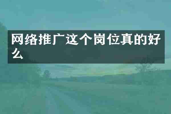 网络推广这个岗位真的好么